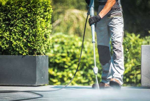 Professional Pressure Washing in Bensley, VA